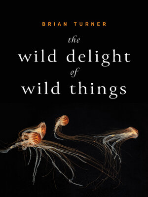 cover image of The Wild Delight of Wild Things